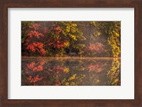 New Jersey, Belleplain State Fores,t Autumn Tree Reflections On Lake Fine Art Print