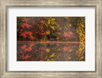 New Jersey, Belleplain State Fores,t Autumn Tree Reflections On Lake Fine Art Print