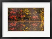 New Jersey, Belleplain State Fores,t Autumn Tree Reflections On Lake Fine Art Print