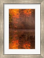 New Jersey, Belleplain State Forest, Autumn Tree Reflections On Lake Fine Art Print