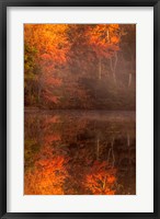 New Jersey, Belleplain State Forest, Autumn Tree Reflections On Lake Fine Art Print