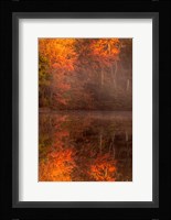 New Jersey, Belleplain State Forest, Autumn Tree Reflections On Lake Fine Art Print