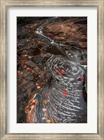 New York, Adirondack State Park Stream Eddies Fine Art Print