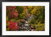 New York, Adirondack State Park Stream And Forest In Autumn Fine Art Print