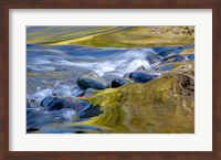 Oregon Abstract Of Autumn Colors Reflected In Wilson River Rapids Fine Art Print