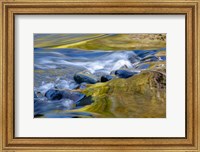 Oregon Abstract Of Autumn Colors Reflected In Wilson River Rapids Fine Art Print
