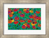 Oregon, Coos Bay, Abstract Of Helenium Flowers In Garden Fine Art Print