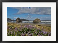 Lupine Along Southern Oregon Coastline Fine Art Print