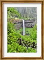 Silver Falls State Park, Oregon South Falls And Trail Leading To It Fine Art Print