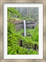 Silver Falls State Park, Oregon South Falls And Trail Leading To It Fine Art Print