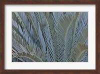 Palm Leaves In Silver Plant Display, Longwood Gardens, Pennsylvania Fine Art Print