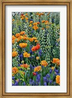 Springtime Bloom Next To Chanticleer House, Chanticleer Garden, Pennsylvania Fine Art Print
