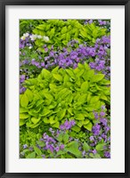 Spring Colors, Chanticleer Garden, Pennsylvania 1 Fine Art Print