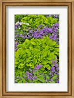Spring Colors, Chanticleer Garden, Pennsylvania 1 Fine Art Print
