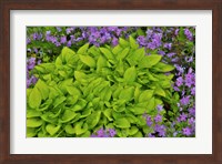Spring Colors, Chanticleer Garden, Pennsylvania 2 Fine Art Print