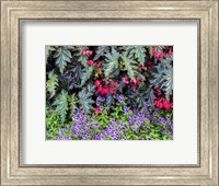 Indoor Garden With A Variety Of Spring Blooming Flowers Fine Art Print