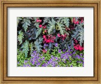 Indoor Garden With A Variety Of Spring Blooming Flowers Fine Art Print