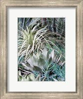 A Garden With An Assortment Of Bromeliad Plants And Textures Fine Art Print