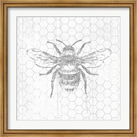 Grey Bee Fine Art Print