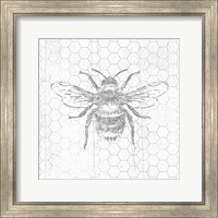 Grey Bee Fine Art Print
