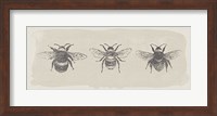 Three Bees Fine Art Print