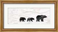 Bear Family Fine Art Print