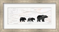 Bear Family Fine Art Print