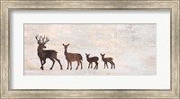 Deer Family Fine Art Print