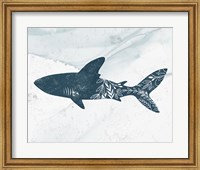 Shark Fine Art Print