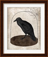Raven Jar Fine Art Print