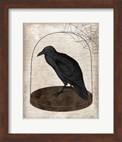 Raven Jar Fine Art Print