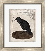 Raven Jar Fine Art Print