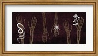 Skeleton Hands Fine Art Print