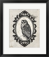 Celestial Owl Fine Art Print