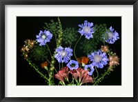 Botanical XI Fine Art Print