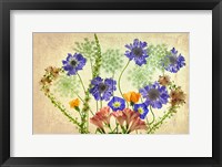 Botanical IX Fine Art Print