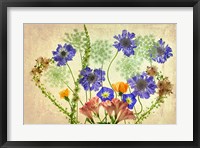 Botanical IX Fine Art Print