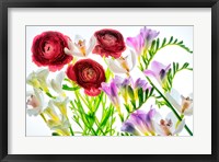 Botanical IV Fine Art Print