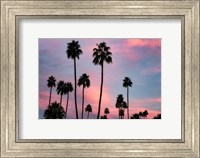 Palm Sunset Fine Art Print