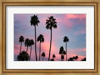 Palm Sunset Fine Art Print
