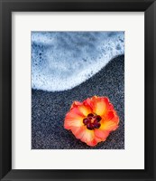 Beach Floral Fine Art Print