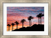 Palm Tree Sunset Fine Art Print
