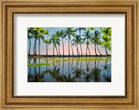 Palm Tree Reflections Fine Art Print