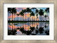 Palm Reflections Fine Art Print
