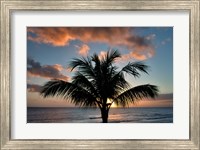 Palm Tree Sunset II Fine Art Print