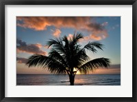 Palm Tree Sunset II Fine Art Print