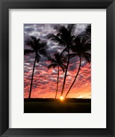 Sunset Silhouette Fine Art Print