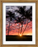 Sunset Silhouette Fine Art Print