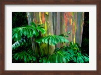 Tropical Leaves Fine Art Print