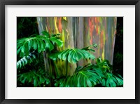 Tropical Leaves Fine Art Print